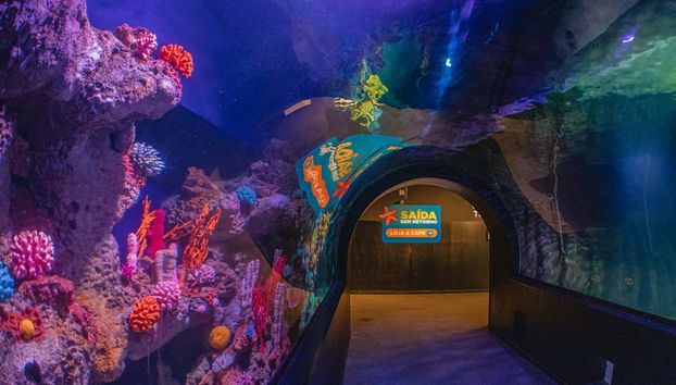 Túnel submarino del Oceanic Aquarium