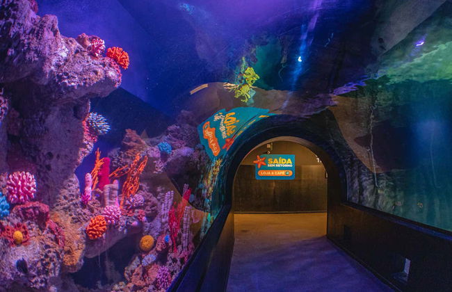 Pirate Adventure Ticket - Photo 5