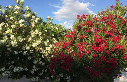 Hillside Escape with Pool - Foto 38