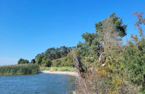 Farmstay Neuendorfkrug, Lütow - Foto 64
