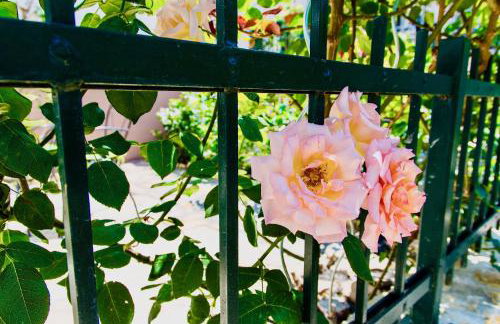 Luxury Villa Minerva Gardens - Photo 71