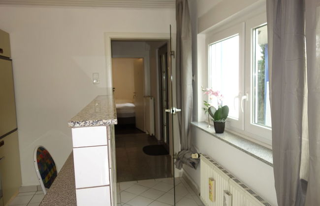 Tolstov-Hotels Large 3 Room Apartment with Garden - Foto 11