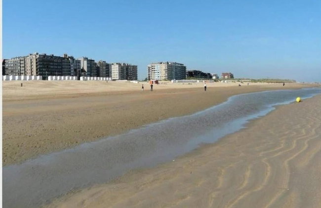 Seaside Stay w/ Large Terrace - Foto 40