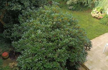 Grande maison de ville avec jardin - Baie du Mont St Michel - Foto 21