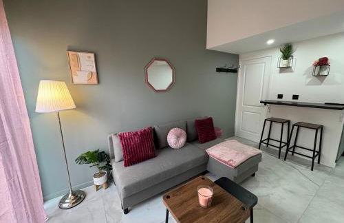 Petit Boudoir Lyonnais neuf terrasse climatisé - Foto 26