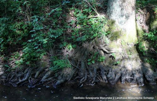 Szwajcaria Mazurska - Foto 40