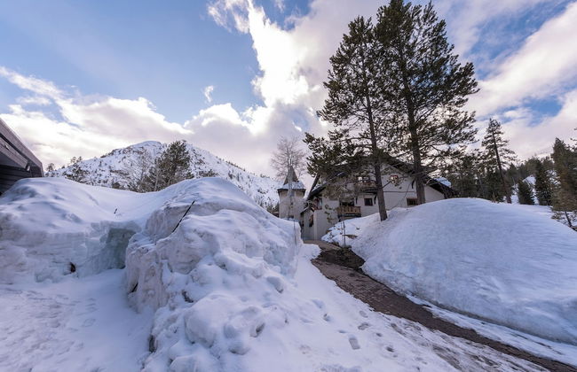 Olympic Village Inn - Photo 48