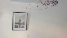 Maison de Vancances à louer Alpes Maritimes - Foto 2