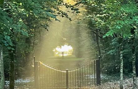 maison d'hôtes de l'orangerie 14 personnes - Foto 49