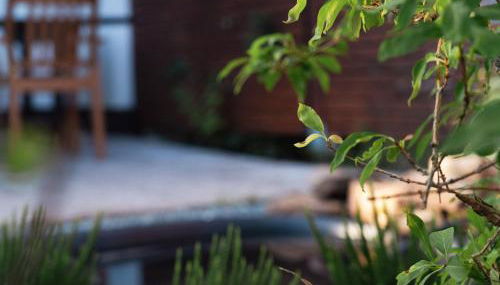 Apartmenthaus Schöne Aussicht - Foto 2