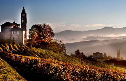 Villa con piscina e intera struttura a uso esclusivo casa del moré - Photo 53