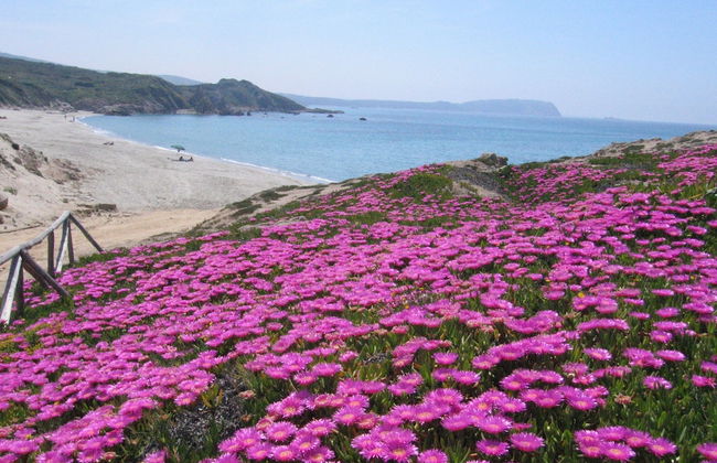 Villette a Schiera Rena Majore - Foto 41