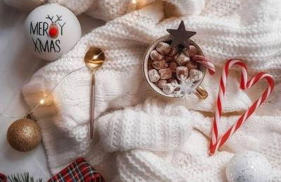 La Salamandre de l Olivier - Le Magnolia - Foto 32