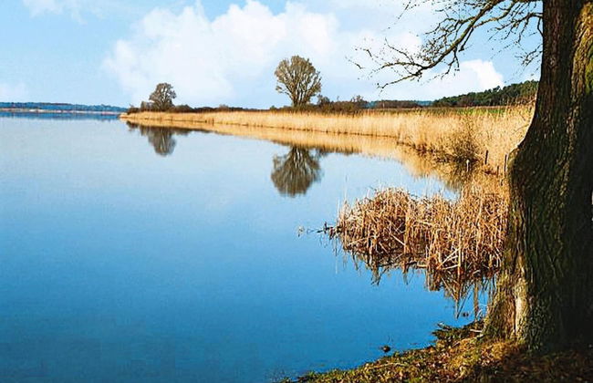Ferienwohnung, Beetzseeheide - Foto 18