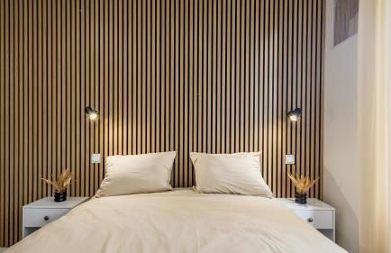 Manu Chalons - Foto 1