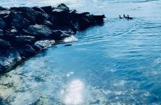 See Apart 3 - Foto 8