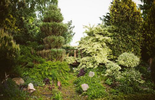 Agroturystyka u Miłosza - Foto 64