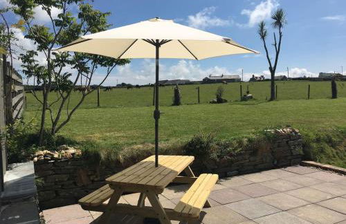 Buena Vista - Foto 3