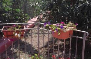 Villetta Mare Ventotene - Foto 13