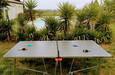 "Domaine 1902"piscine,billard,boulodrome,14 pers - Foto 5