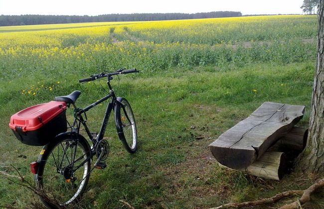 Holzhaus am See - Foto 5