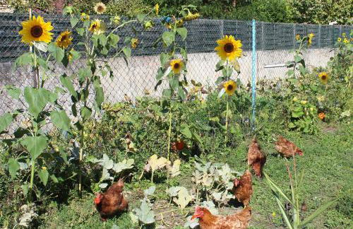 LES MIGLOU - Maison picarde entre Paris et la Champagne ! - Foto 15