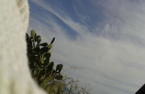 la casa di titti e jack - Foto 40