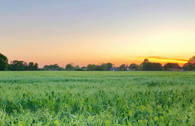 4 Star Holiday Home in Solvesborg-by Traum - Photo 25