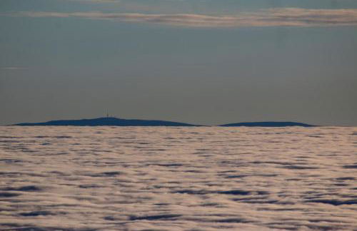 L'Esprit du Bois - Foto 38