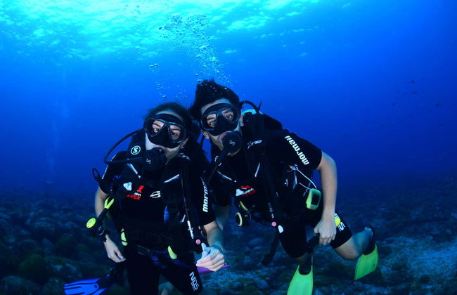 Baptême de plongée à Fernando de Noronha - Photo 4