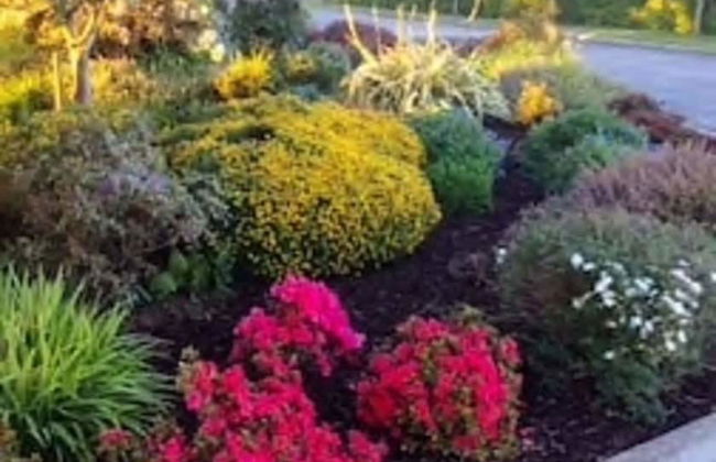 Charming 3-bed Cottage Moira - Hillsborough - Foto 7