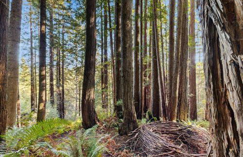 Deep Woods Hideaway - Photo 25