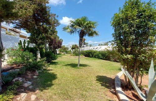 Siesta Mar Apartamentos Ibiza - Foto 64