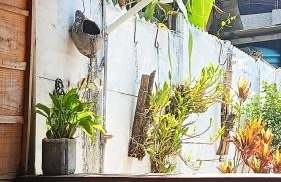 Minha casa - Foto 14