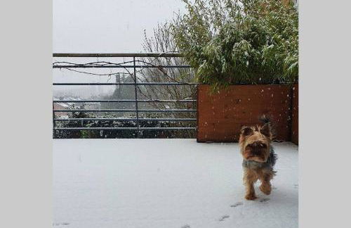 Maison Famille-Confort-Terrasse Jardin-Vue Cathédrale - Foto 30