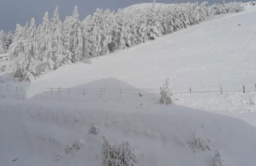 T2 confortable - Piscine chauffée - Super Besse - Photo 23