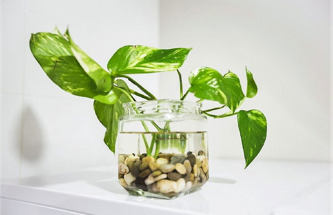 Apart. De Lujo Conde de Gondomar - Foto 29