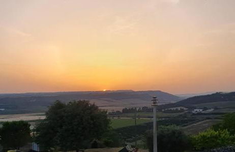 Masseria Strada Agriturismo - Foto 43