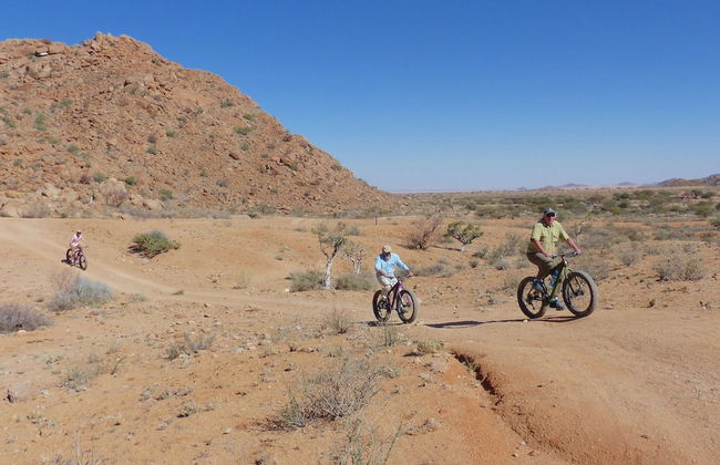 Solitaire Desert Farm - Foto 30