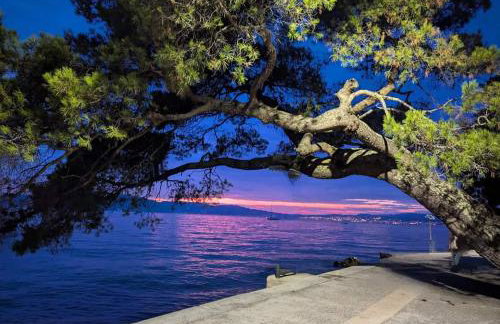 Apartment Fancy - Foto 69