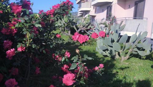 aranceto dell'Etna - Foto 4