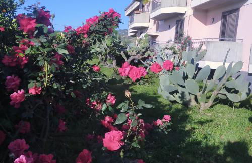 aranceto dell'Etna - Foto 4