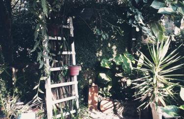 Recanto Monte Alegre - Foto 47