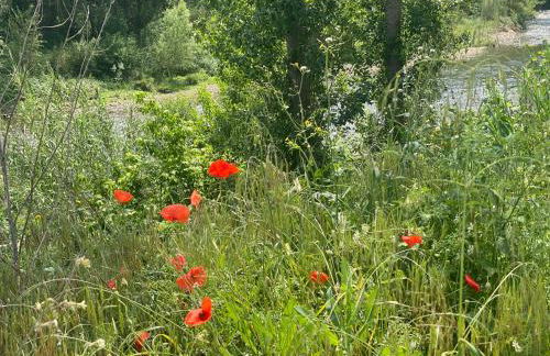 Casa Buenaventura - Foto 9