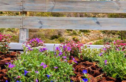 Vila Sitges, big house with pool - Foto 42