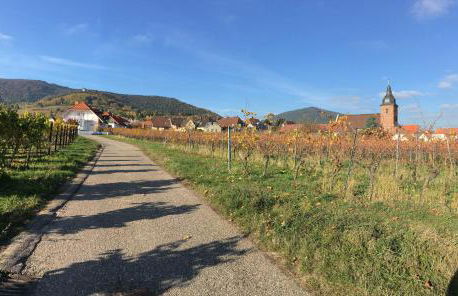 Ferienwohnung Südpfalzblick - Foto 23