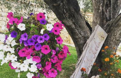 Agriturismo Le Faeta - Foto 63