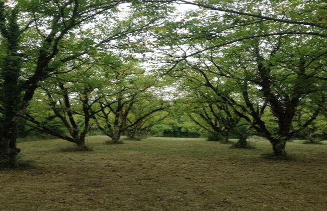 Cosy Holiday Home With Garden - Foto 36