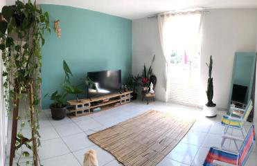 Alexandro Rendall - Foto 2