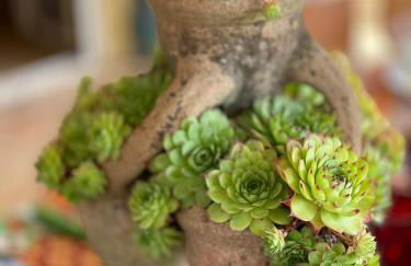 Casa Bella Vista - Foto 37